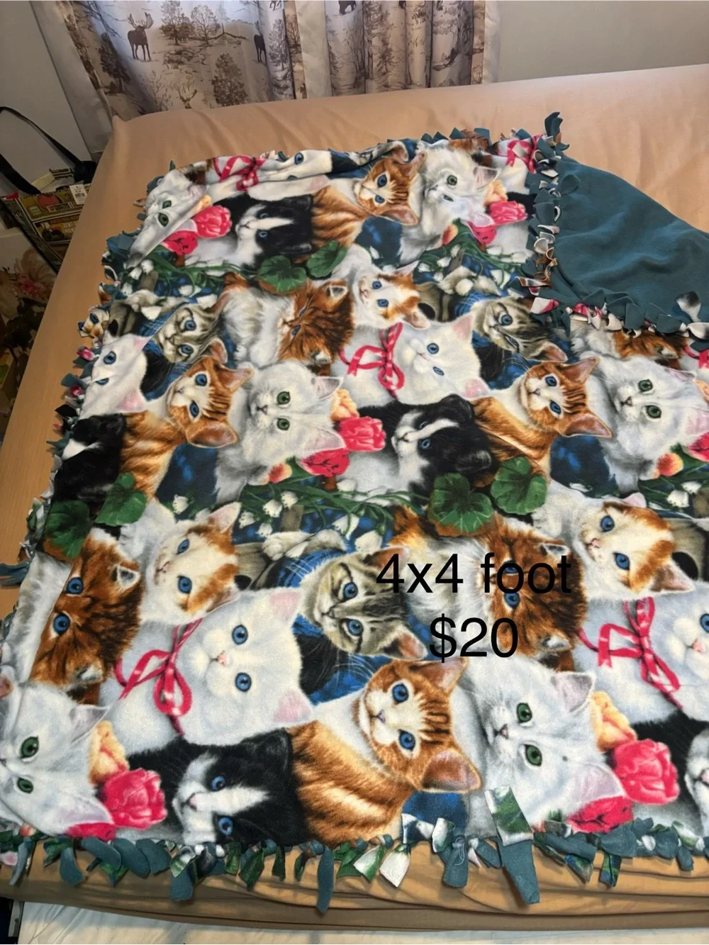 Cozy Multicolor Cat Fleece Throw with Teal Backing